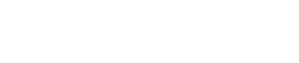 Business Information 事業紹介